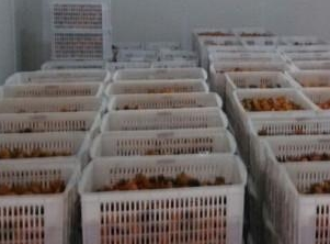 保鮮庫和冷凍庫的區(qū)別。
